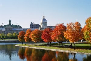 marche_bonsecours_and_foliage