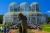 Image highligh icon