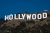 Image highligh icon